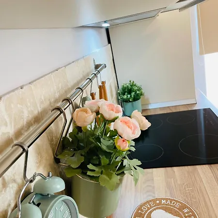 אלבה לוליה Apartament Cetate Alba Carolina מראה חיצוני תמונה
