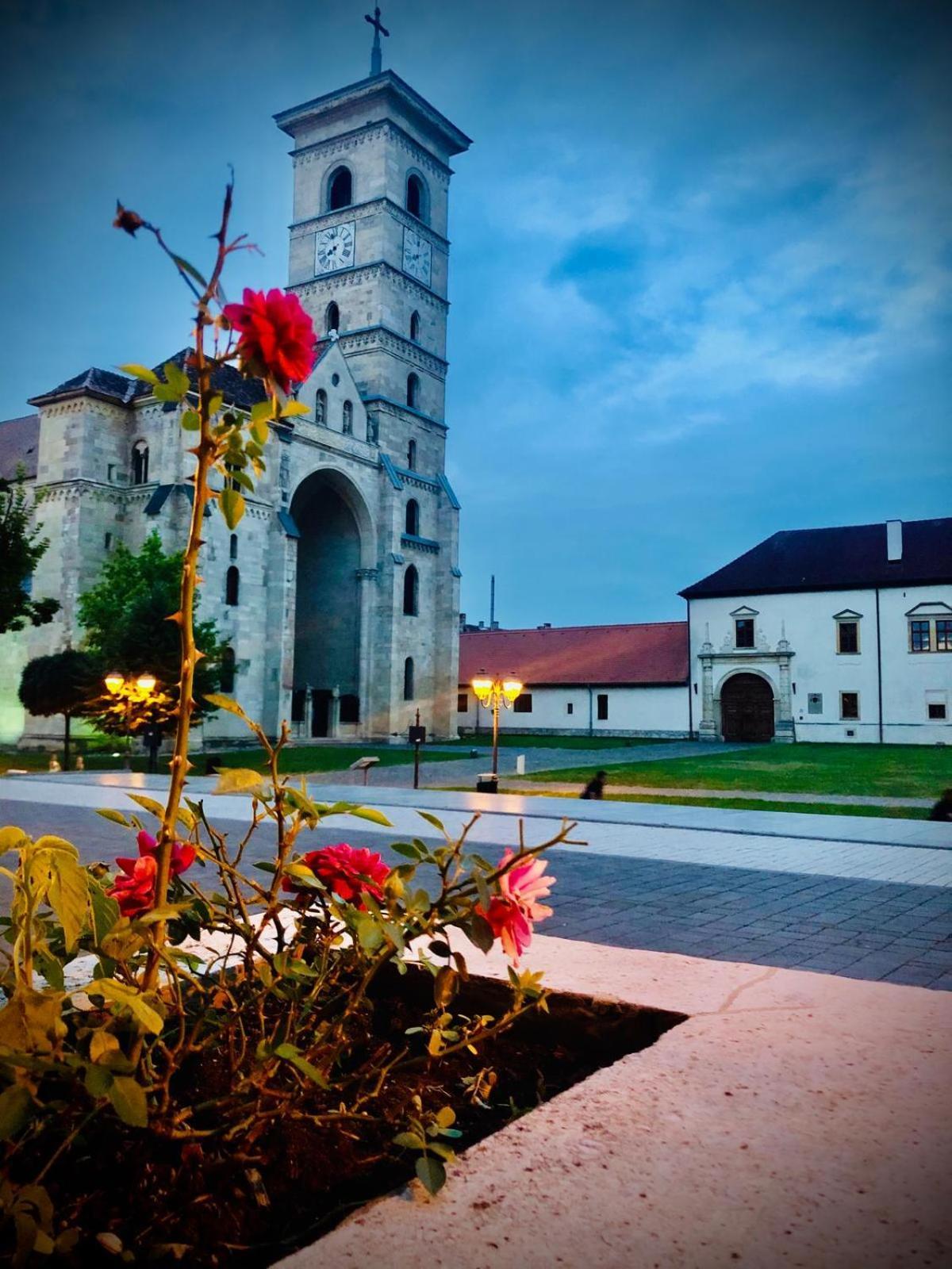 Apartment Cetate Alba Carolina Alba Iulia
